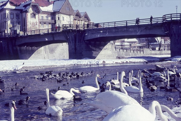 Old Isar Bridge in Bad Toelz