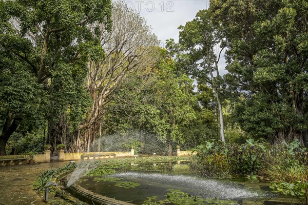 Fountain at the Aquarium