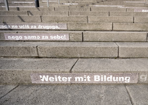 Stairway steps with slogans on the subject of education in several languages