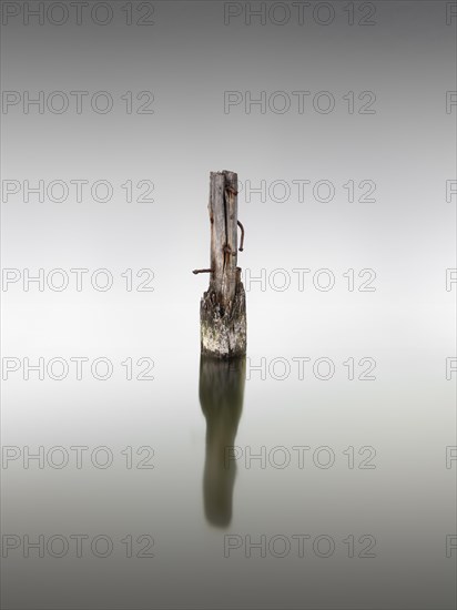 Wooden pile on the Great Jasmund Bodden