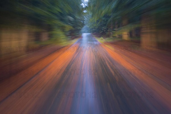 Car driving on autumnal wet road through the forest at dawn