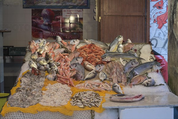 Fishmonger