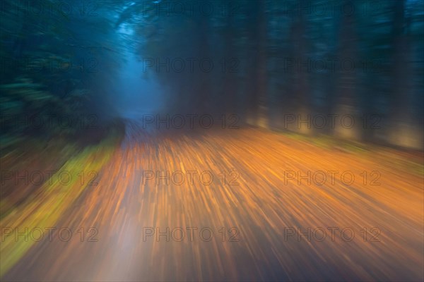 Car driving on autumnal wet road through the forest at dawn