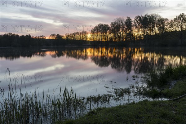 Morning sky in front of sunrise at Heikteich