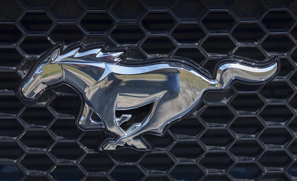 Horse figure on the radiator grille