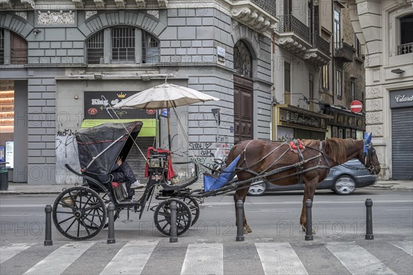 Horse-drawn carriage