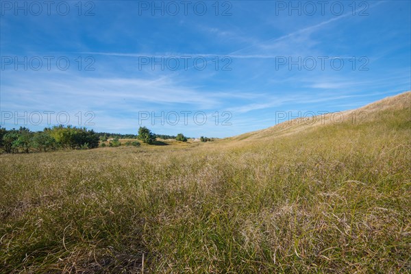 Hohe Warte Zingst