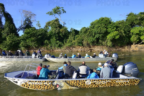 Tourists in motorboats watching wildlife