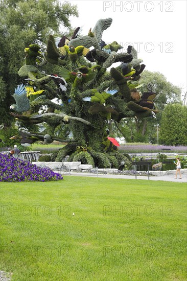 Plant sculpture of birds