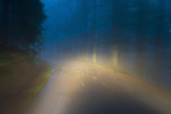 Car driving on autumnal wet road through the forest at dawn