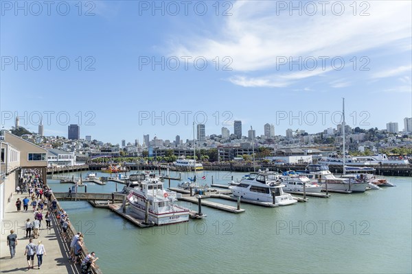 Several boats docked at pier 39