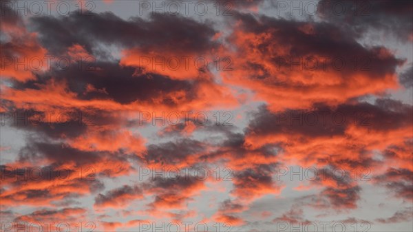 Pink clouds