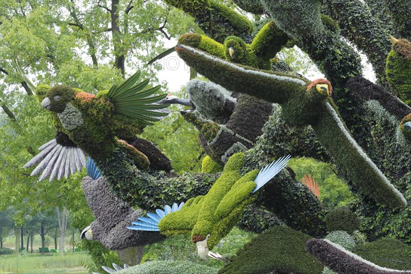 Plant sculpture of birds