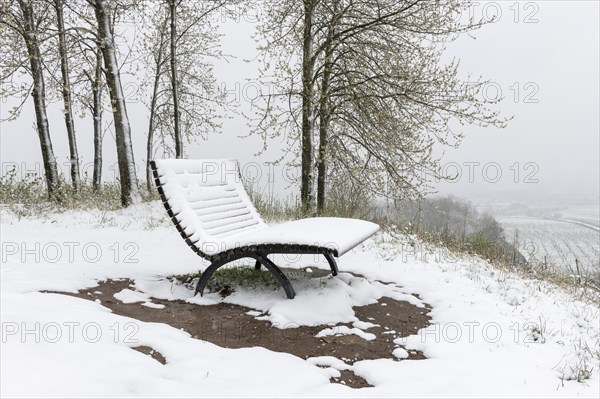 Snow-covered bench