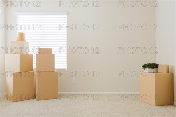 Variety of packed moving boxes and potted plants in empty room with room for text