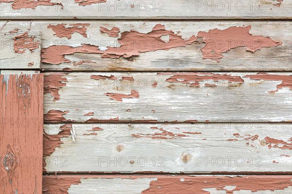 Weathered wood panel wall with peeling paint textured background
