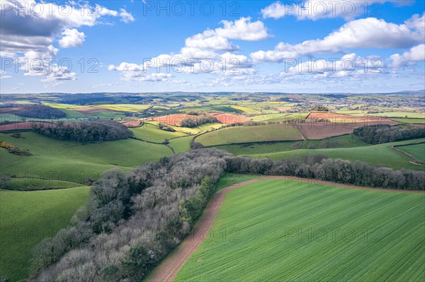 Fields and Meadows over English Village