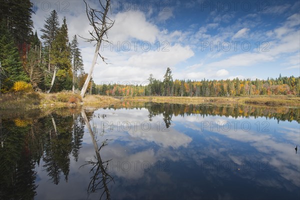 See im Algonquin Park