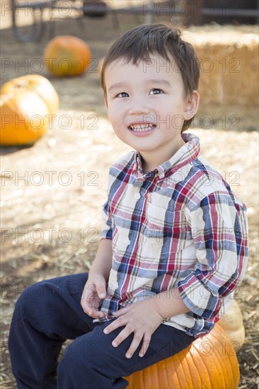 Cute mixed-race young boy having fun at the pumpkin patch