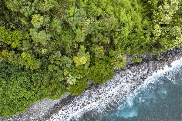 Luftaufnahme der Kueste entlang der Road to Hana