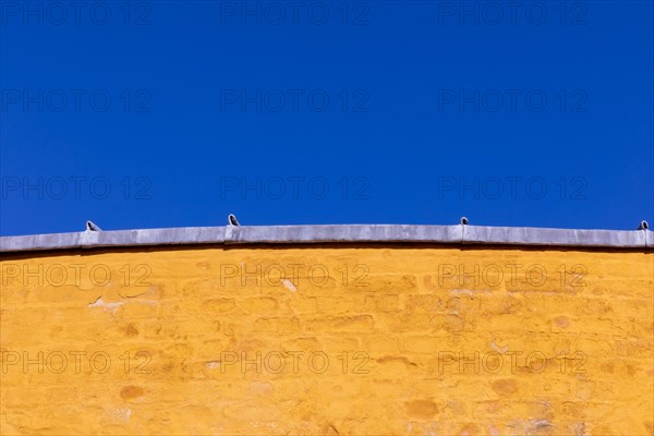 Details fromÂ Roskilde Mansion