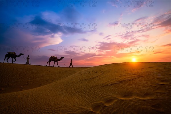 Indian cameleers