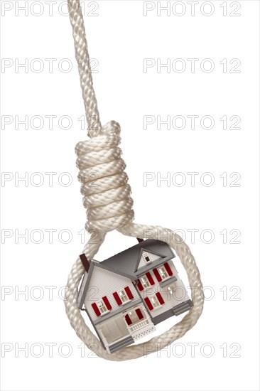 House tied up and hanging in hangman's noose isolated on a white background