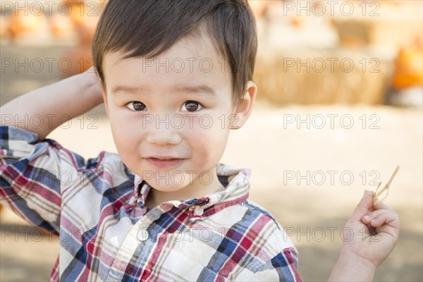 Cute mixed-race young boy having fun at the pumpkin patch