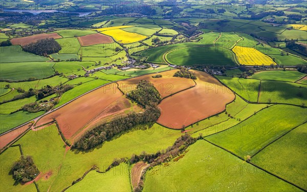 Fields and Meadows over English Village