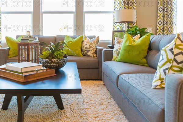 Beautiful living area with coffee table and couch of new home