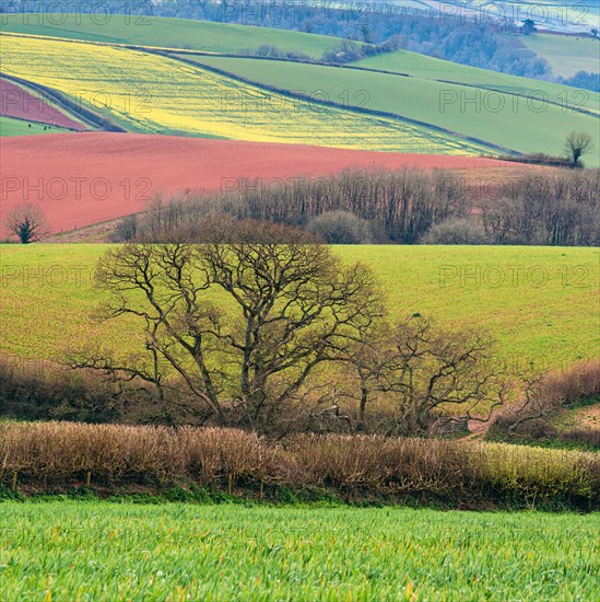 Fields and Meadows over English Village