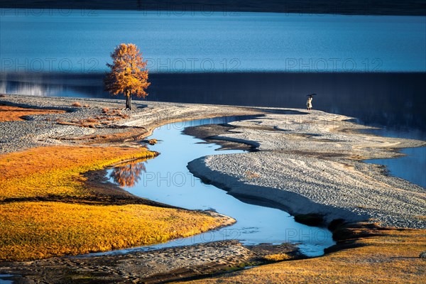 Along the tree near Lake Khoton. Western Mongolia