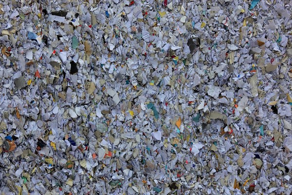 Geschreddertes Altpapier fuer Recycling