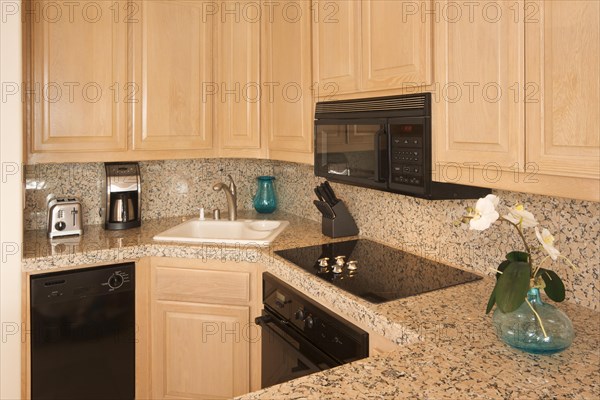 Modern kitchen interior with marble countertop