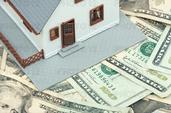 Home and money on a money background