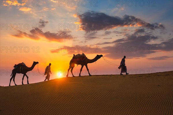 Indian cameleers