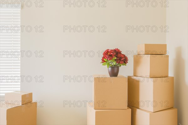Variety of packed moving boxes and potted plant in empty room with room for text