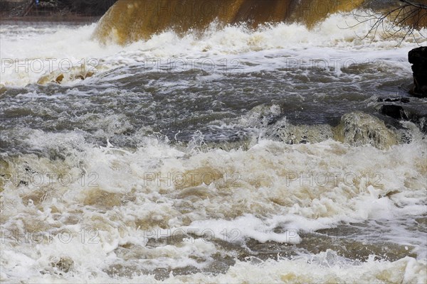 Strong current in a wild river