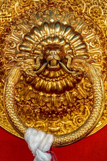 Lion shaped door handle in Buddhist temple. Kaza