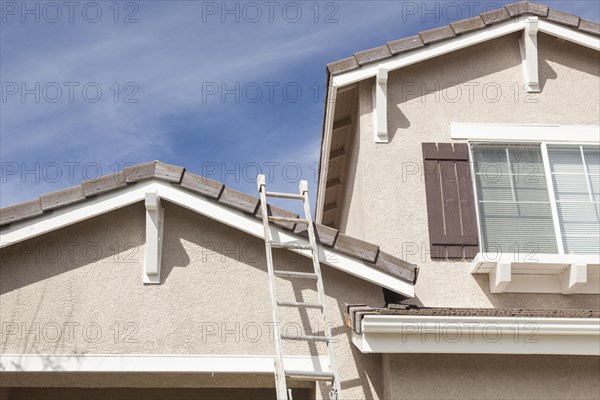 Construction ladder leaning up against A freshly painted house