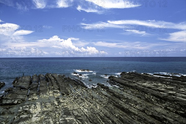 A scene on the way to Corbines Cove Beach