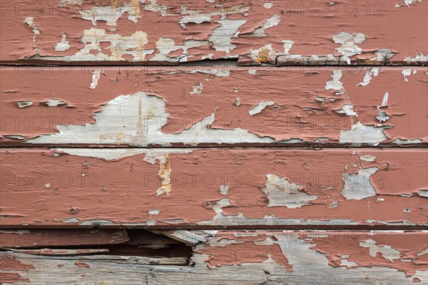 Weathered wood panel wall with peeling paint textured background