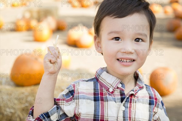 Cute mixed-race young boy having fun at the pumpkin patch