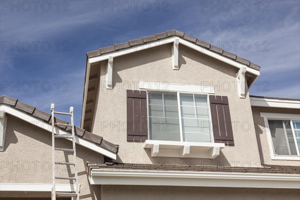 Construction ladder leaning up against A freshly painted house