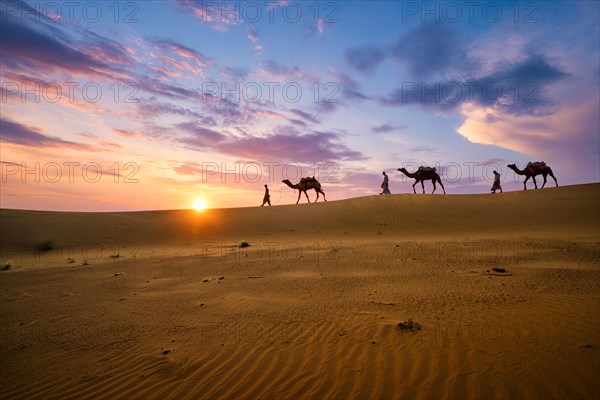 Indian cameleers