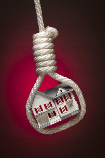 House tied up and hanging in hangman's noose on red spot lit background