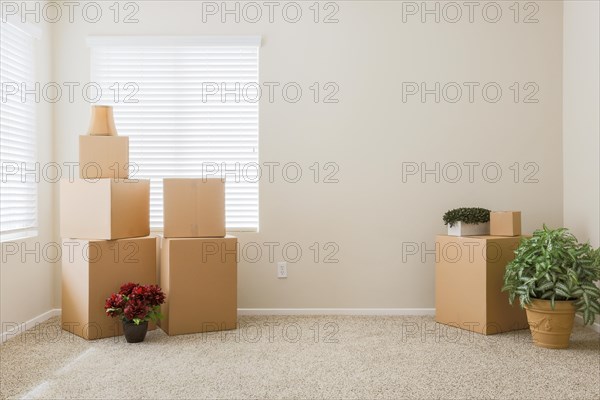 Variety of packed moving boxes and potted plants in empty room with room for text