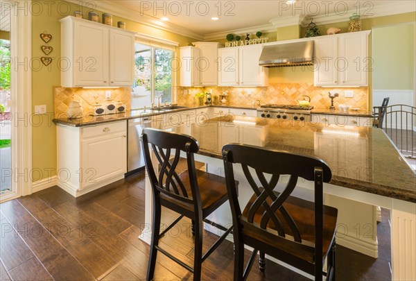 Beautiful custom kitchen interior in a new house