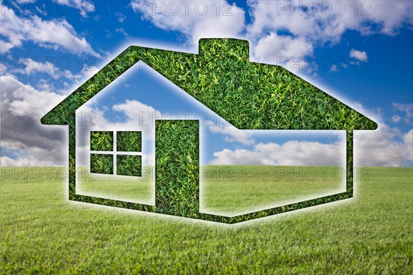 Green grass house icon over field