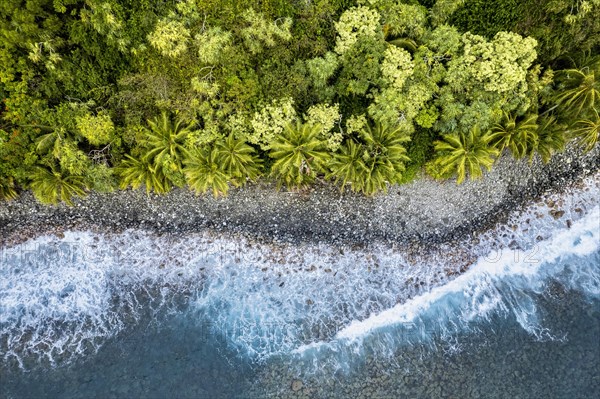 Luftaufnahme der Kueste entlang der Road to Hana